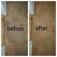 Ace Carpet Cleaners image 7